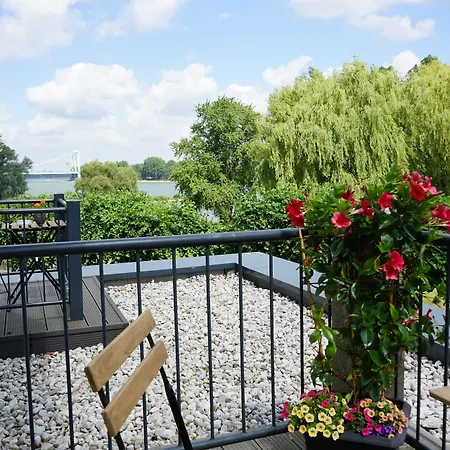 Rheinblick