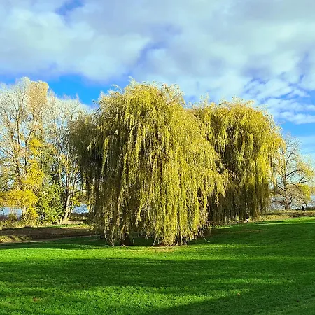 ホテル ヴィラホテル ラインブリック 4*