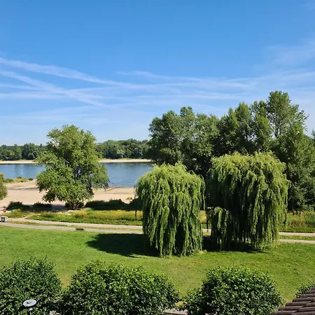 Rheinblick