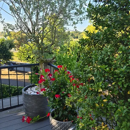 فندق Rheinblick كولونيا