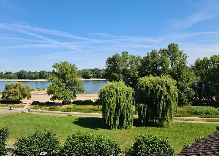 Rheinblick