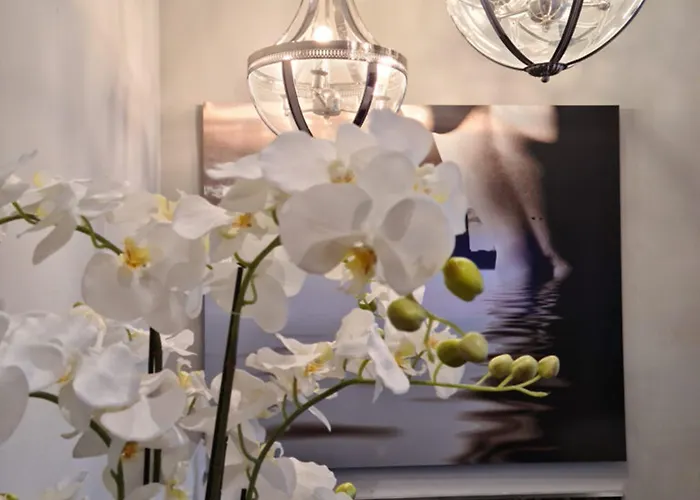 Rheinblick Hotel Köln