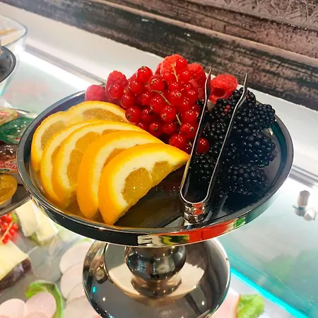 酒店 莱茵布里克别墅酒店 科隆