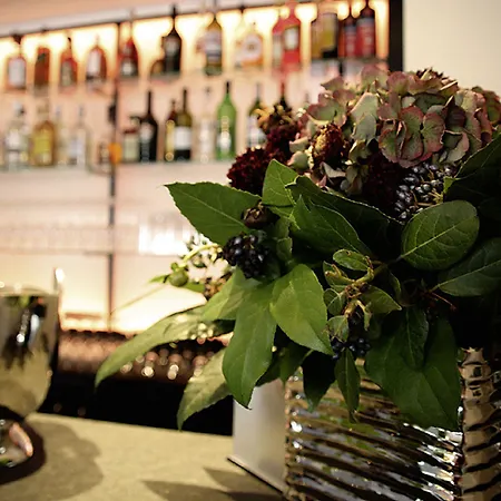 酒店 莱茵布里克别墅酒店
