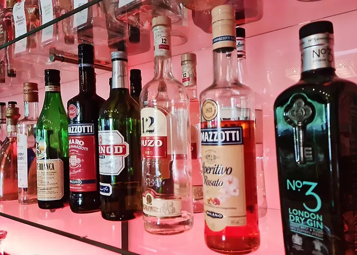 酒店 莱茵布里克别墅酒店 科隆