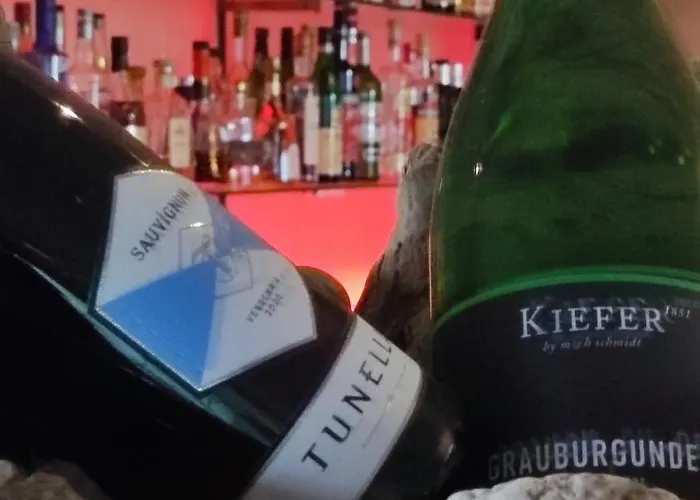 酒店 莱茵布里克别墅酒店