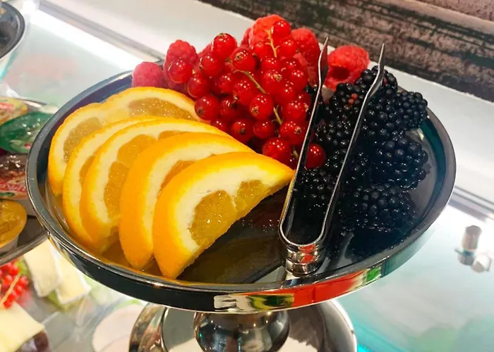 酒店 莱茵布里克别墅酒店 科隆