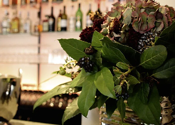 酒店 莱茵布里克别墅酒店